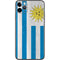 Uraguay Flag Distressed iPhone 11 Pro Max Skin