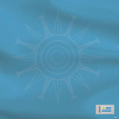 Uruguay Soccer Flag PS4 Console Skin