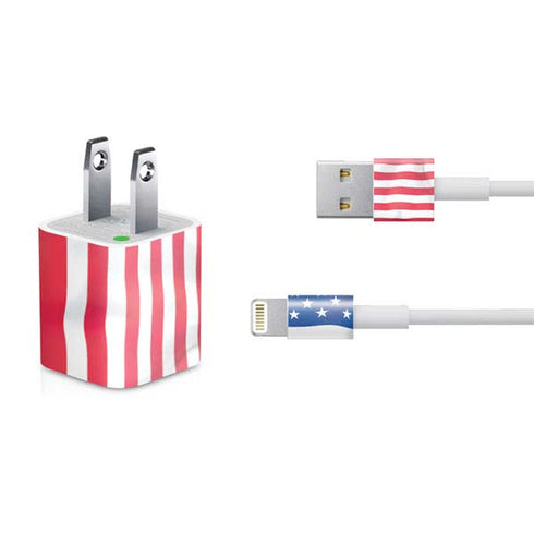USA Flag American Flag iPhone Charger (5W USB) Skin