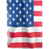 USA Flag American Flag PS5 Console Skin