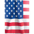 USA Flag American Flag PS5 Digital Edition Bundle Skin