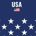 USA Flag Stars PS4 Controller Skin