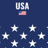 USA Flag Stars PS4 Pro/Slim Controller Skin