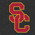 University of Southern California USC Dark Grey Logo Nintendo 2DS XL (2017) Skin