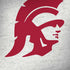 University of Southern California USC Grey Trojan Mascot iPhone X Skin