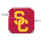 University of Southern California USC Red Logo 85W Power Adapter (15 and 17 inch MacBook Pro Charger) Skin