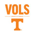University of Tennessee-Knoxville UT Vols Nintendo 2DS XL (2017) Skin
