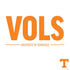 University of Tennessee-Knoxville UT Vols PS4 Console and Controller Bundle Skin