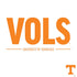 University of Tennessee-Knoxville UT Vols PS4 Controller Skin