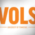 University of Tennessee-Knoxville UT Vols HP Spectre Skin