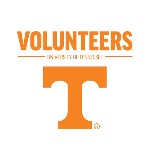 University of Tennessee-Knoxville Volunteers Text Nintendo 2DS XL (2017) Skin