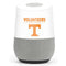 University of Tennessee-Knoxville Volunteers Text Google Home Skin