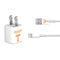 University of Tennessee-Knoxville Volunteers Text iPhone Charger (5W USB) Skin
