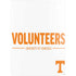 University of Tennessee-Knoxville Volunteers Text PS5 Digital Edition Bundle Skin