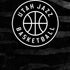 NBA Utah Jazz Black Animal Print iPhone XR Skin