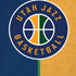 NBA Utah Jazz Split Canvas iPhone XS Pro Case