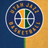 NBA Utah Jazz Split Canvas iPhone XS Skin