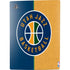 NBA Utah Jazz Split Canvas PS5 Bundle Skin