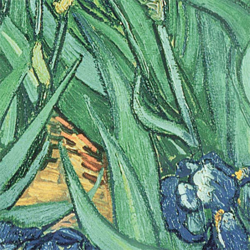 Vincent Van Gogh Irises Nintendo 2DS XL (2017) Skin