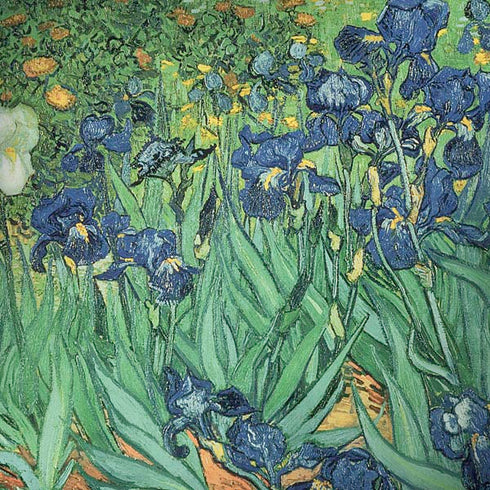 Van Gogh - Irises by Van Gogh Dell Alienware Skin