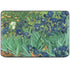 Van Gogh - Irises by Van Gogh HP Chromebook Skin
