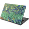 Vincent Van Gogh Irises Dell Chromebook Skin
