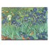 Vincent Van Gogh Irises HP Envy Skin