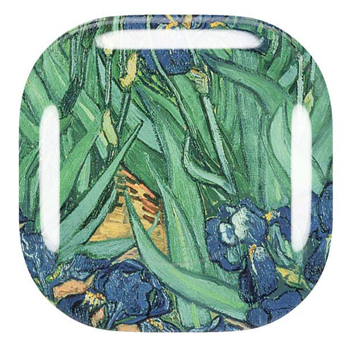 Vincent Van Gogh Irises Galaxy Buds Pro Skin