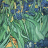Vincent Van Gogh Irises Galaxy Note 8 Skin