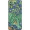 Vincent Van Gogh Irises Galaxy S20 Skin