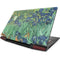 Vincent Van Gogh Irises Lenovo IdeaPad Skin