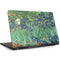 Vincent Van Gogh Irises Dell Inspiron Skin