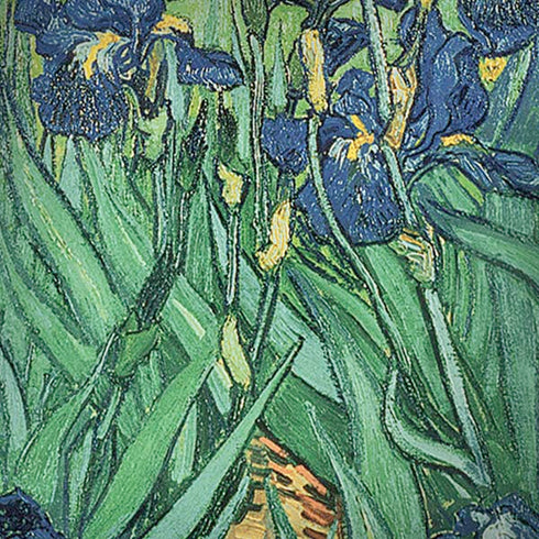 Vincent Van Gogh Irises iPhone X Pro Case