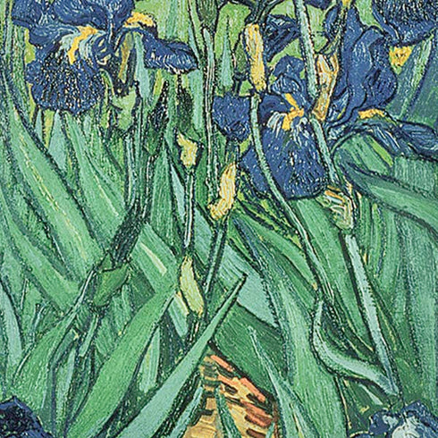 Vincent Van Gogh Irises iPhone XR Pro Case