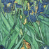 Vincent Van Gogh Irises iPhone XR Skin
