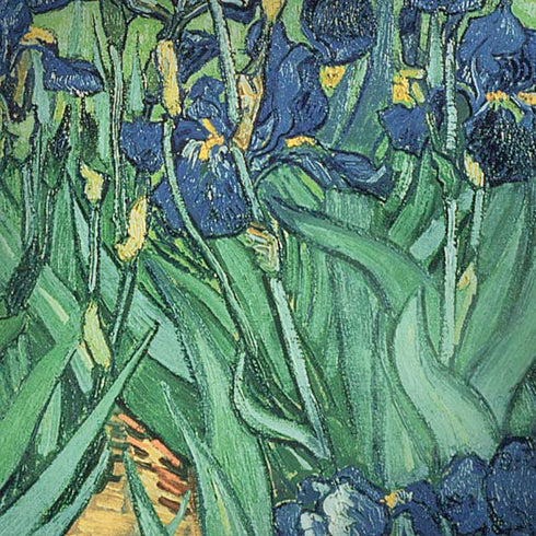 Vincent Van Gogh Irises Moto G6 Skin