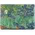 Vincent Van Gogh Irises Notebook 9 Pro 13in (2017) Skin