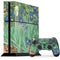 Vincent Van Gogh Irises PS4 Console and Controller Bundle Skin