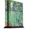 Vincent Van Gogh Irises PS4 Console Skin