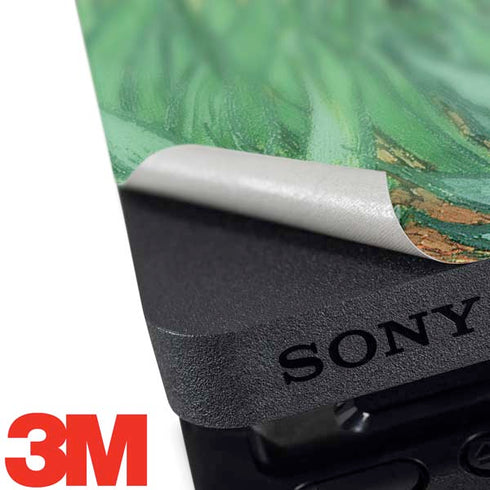 Vincent Van Gogh Irises PS4 Pro Bundle Skin