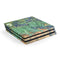 Vincent Van Gogh Irises PS4 Pro Console Skin