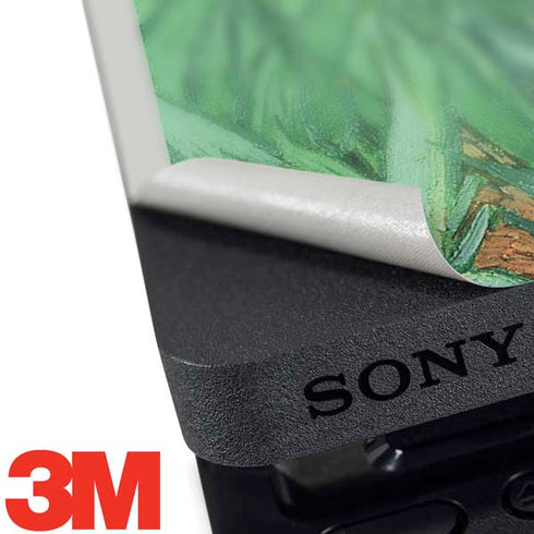 Vincent Van Gogh Irises PS4 Slim Skin