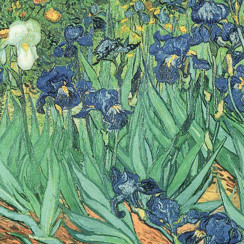 Vincent Van Gogh Irises PS4 Slim Skin