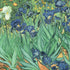 Vincent Van Gogh Irises PS4 Slim Skin