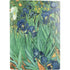 Vincent Van Gogh Irises PS5 Digital Edition Bundle Skin