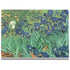 Vincent Van Gogh Irises Surface Book 2 13.5in Skin