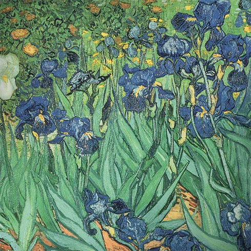 Vincent Van Gogh Irises Surface Book 2 13.5in Skin