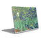 Vincent Van Gogh Irises Surface Book 2 15in Skin