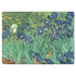 Vincent Van Gogh Irises Surface Laptop 2 Skin