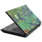 Vincent Van Gogh Irises T440s Skin